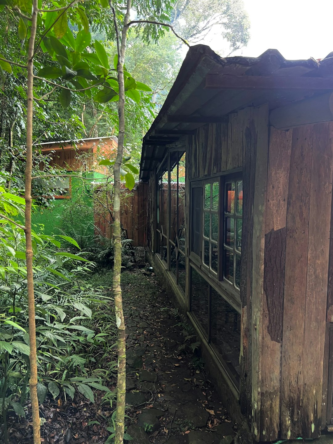 2025 화담숲 모노레일 예약, 실패 없이 즐기는 7가지 실전 비법 관련 이미지 1