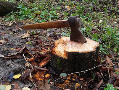 선녀와 나무꾼 &ndash; 하늘에서 내려온 선녀 이야기