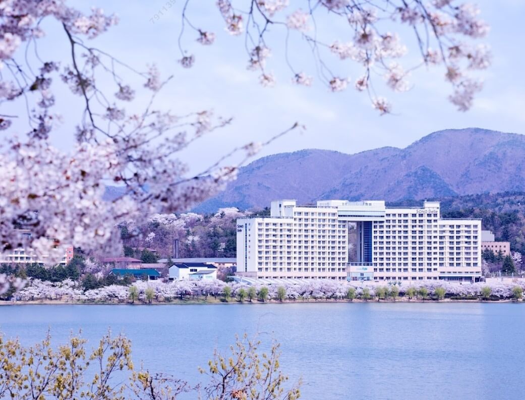 생방송투데이 3785회 우리 동네 홍(보)반장이 간다 APEC 성공 개최를 위해 홍반장이 간다, APEC 공식 숙소 소노캄 경주, APEC 2025 지정 음식점 고도벌한정식, APEC 회의 장소 경주화백컨벤션센터 (HICO)