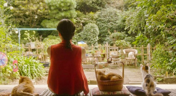 고양이와 함께하는 사진