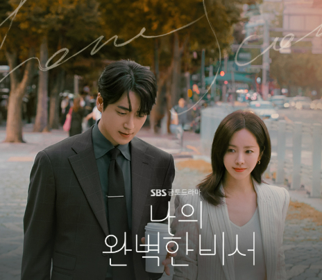 나의 완벽한 비서