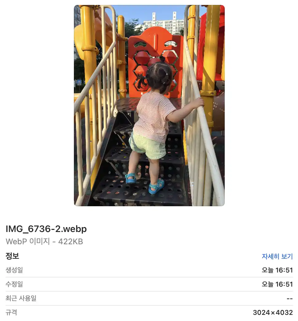 WebP 파일 포맷 이미지 정보