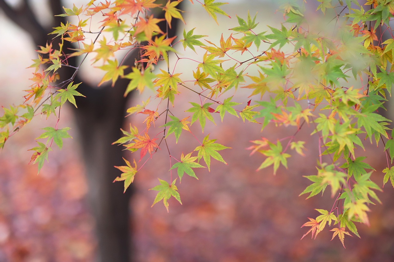 당일치기드라이브