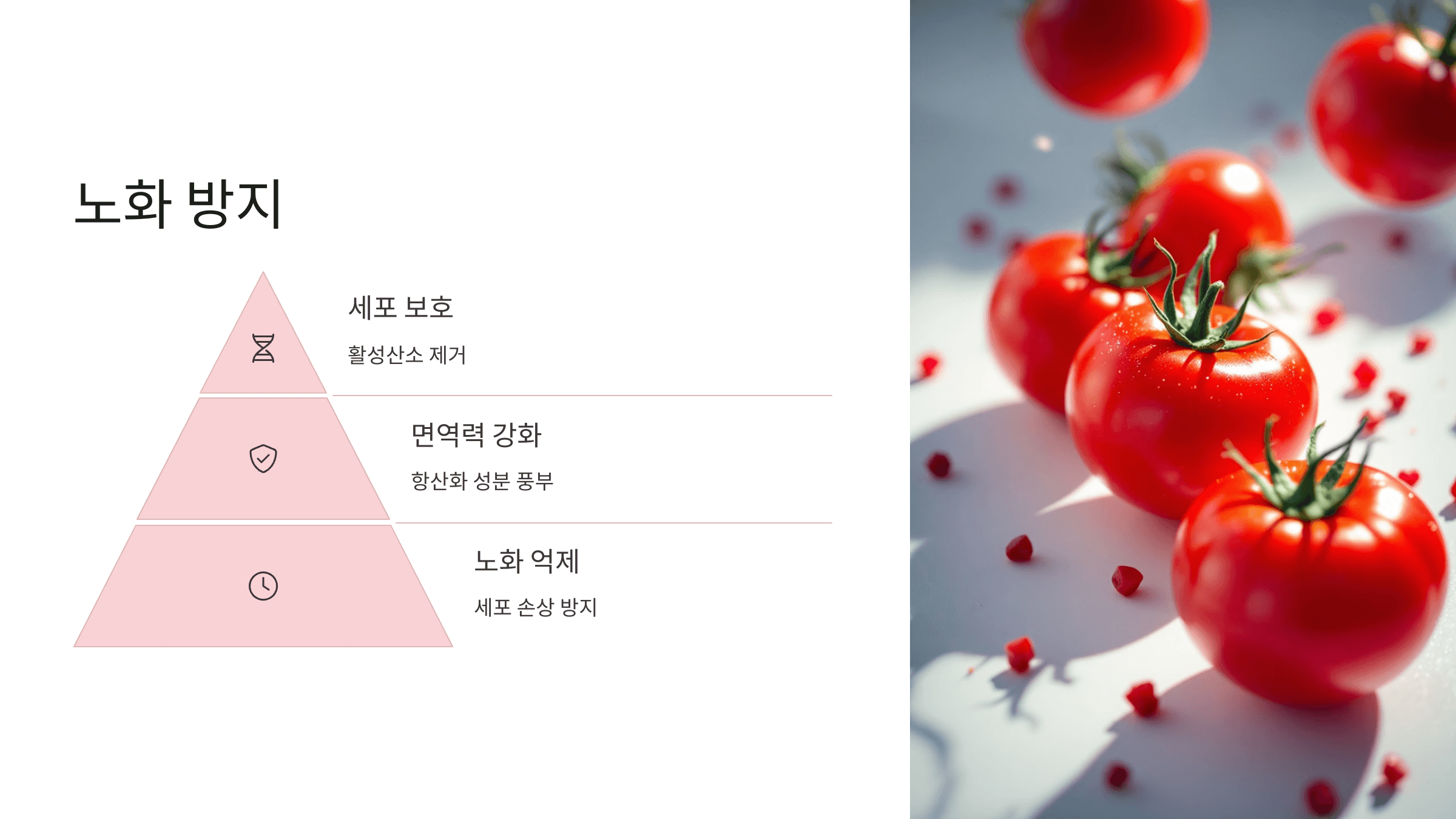 토마토 사진입니다.