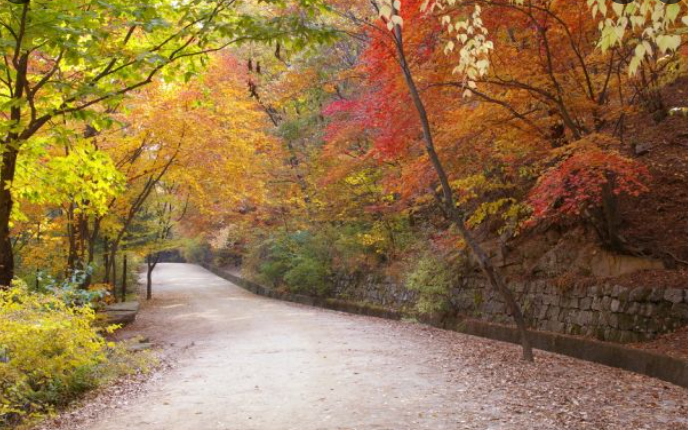 2025 가을 경상도 단풍 명소 산행 추천 ❘ 주왕산&middot;가야산&middot;팔공산 절정 시기