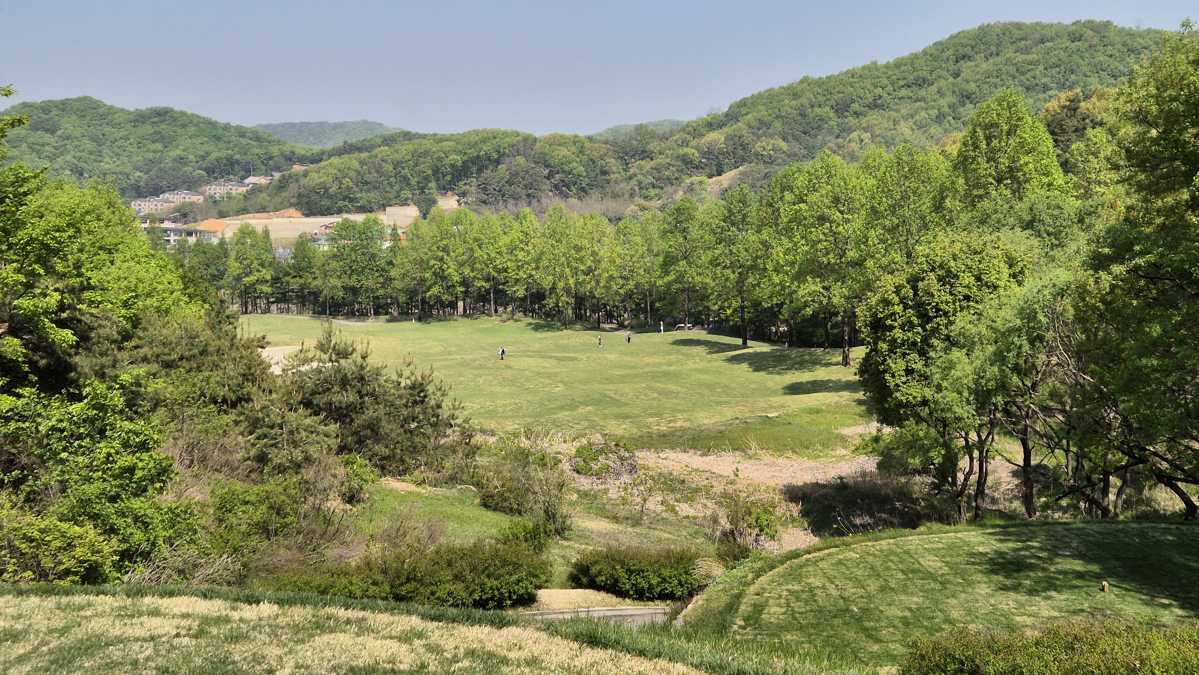 마에스트로cc 코스