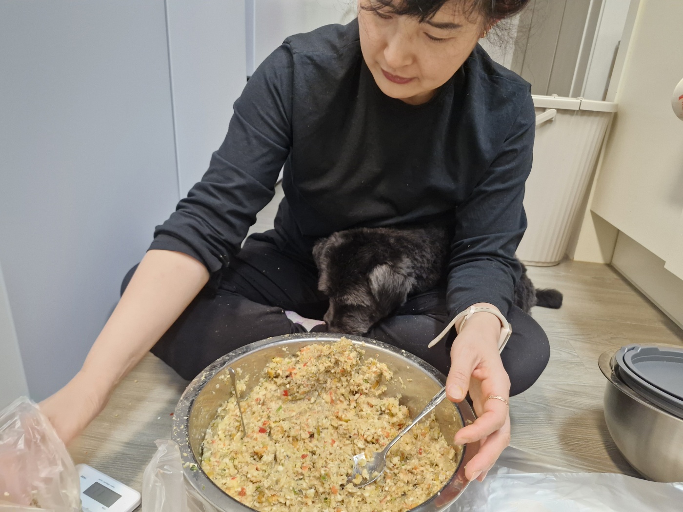 강아지 사망률 4위 위염,췌장염(자가진단 체크리스트,예방법,사료와 위염 ,상관관계,슬로우 피더 활용 약대용 위염예방법)