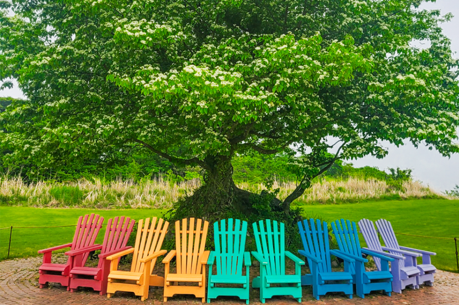 제주도 에코랜드 테마파크 피크닉가든역 1