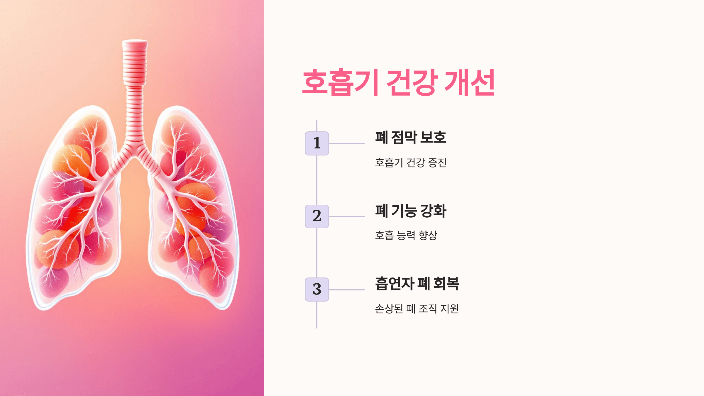 베타카로틴과 관련된 사진입니다.