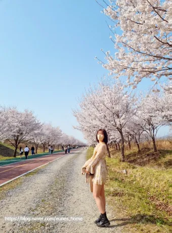 서울 벚꽃 명소 추천 베스트10_21