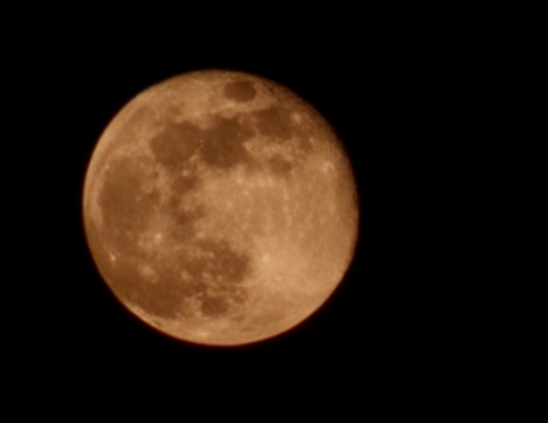 블러드. 붉은 달