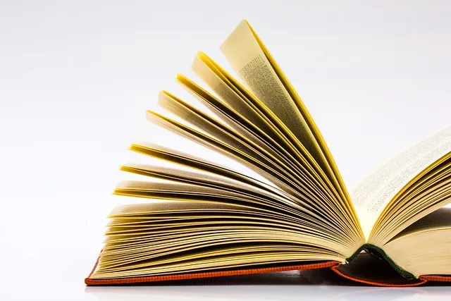 어줍잖은 어쭙잖은