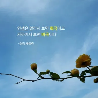 인기 많은 인생 명언 짧은글 100선_11
