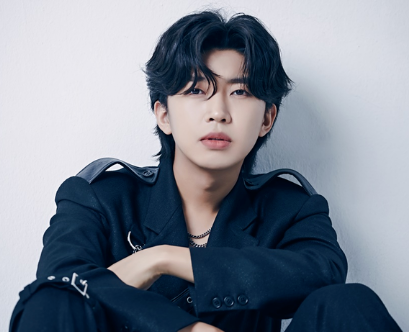 임영웅 콘서트