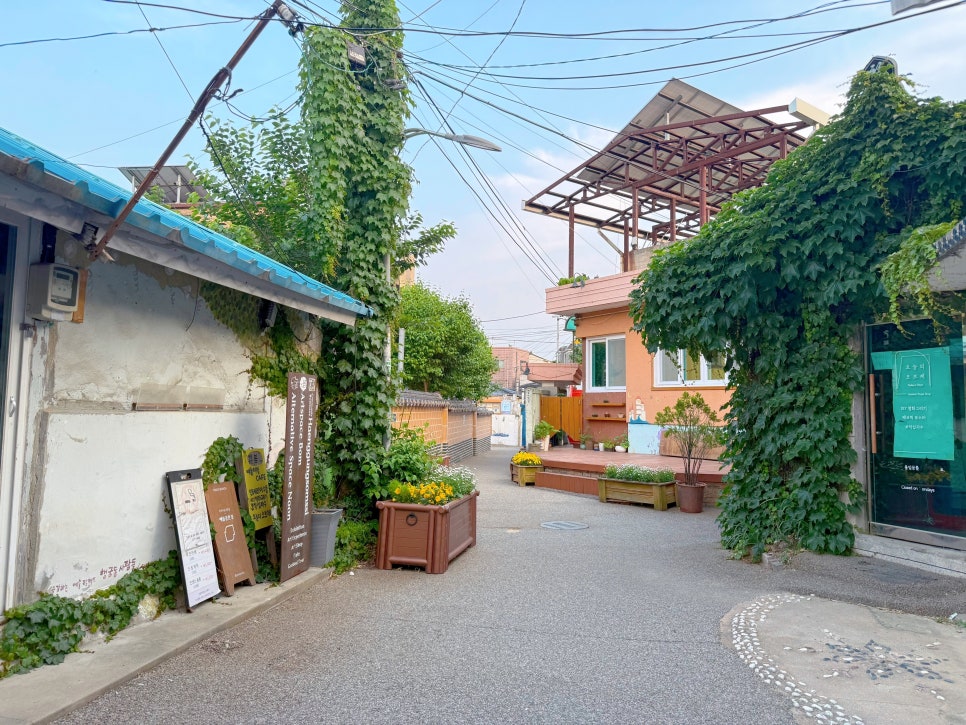 수원 행궁동 벽화마을