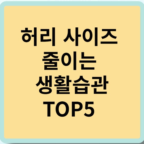 허리 사이즈 줄이는 생활습관 TOP5