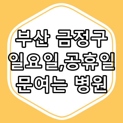 부산광역시 금정구 일요일 진료 병원,공휴일 병원 진료 시간 알아보기