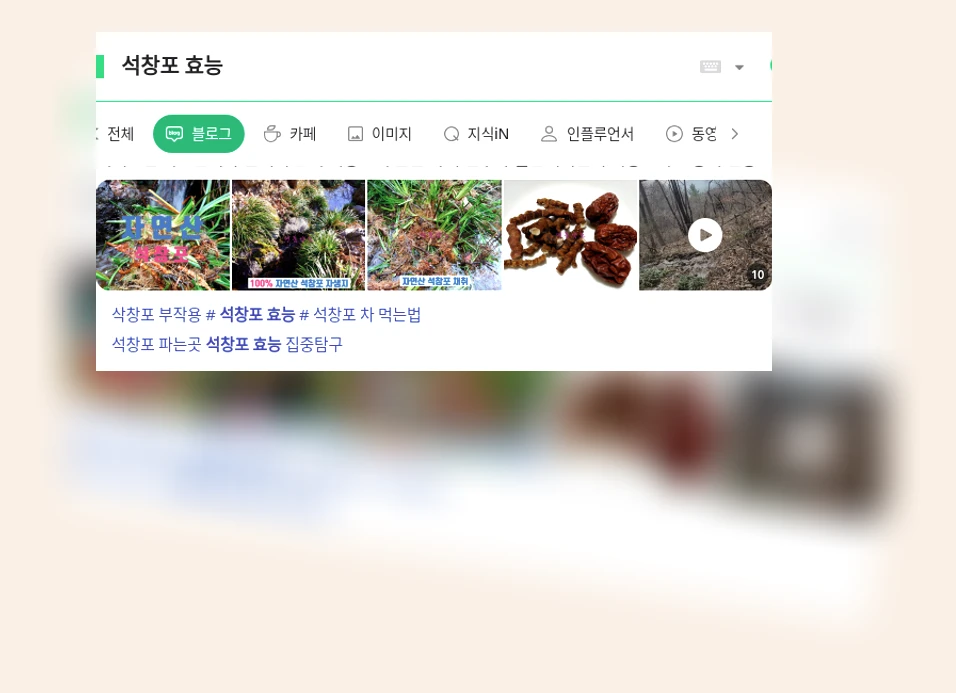 석창포 효능_1_subsection
