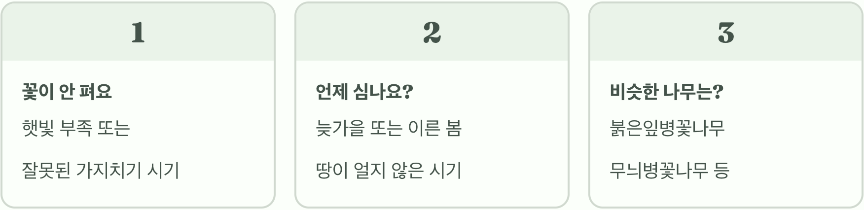 봄 정원의 보석, 병꽃나무 키우기 A to Z