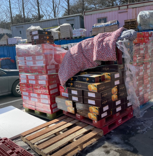 생방송투데이 만물경매장 우리동네뉴스 경기도 용인 만물도깨비