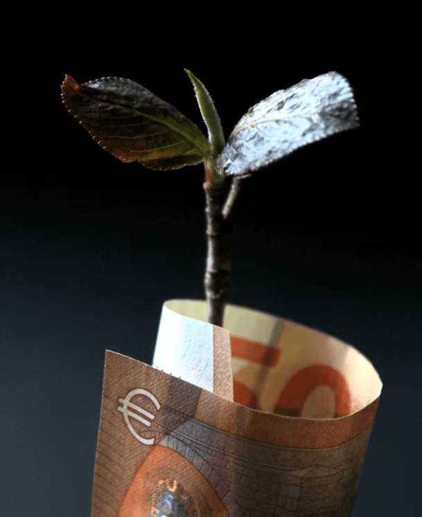 디딤펀드(ISA) 필수가이드:비과세 혜택 100% 활용법