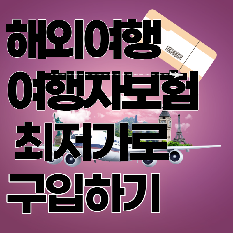 해외여행 여행자 보험 최저가 가입하기