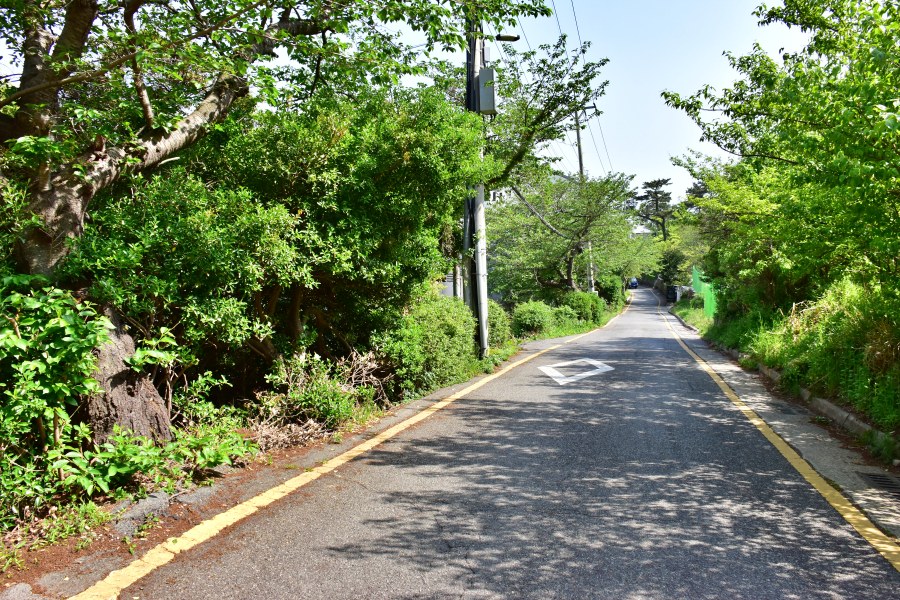 해운대 청사포 옛길