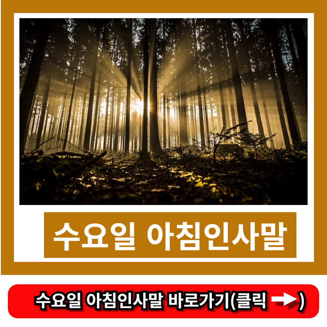 수요일 아침인사말