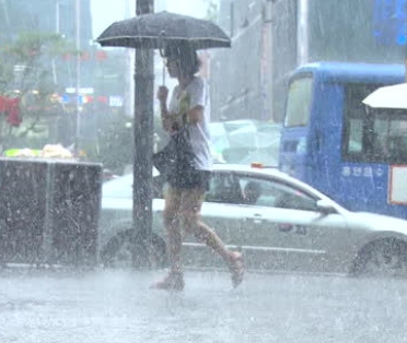 폭우