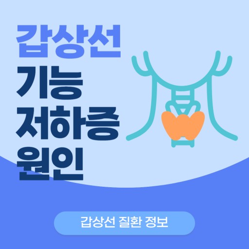 갑상선 질환 정보