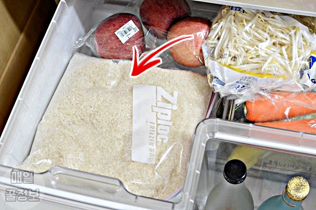 냉장고 김치냉장고 쌀벌레 없애는법, 쌀벌레 애벌레, 바구미, 쌀 보관방법 보관법, 팁줌 매일꿀정보