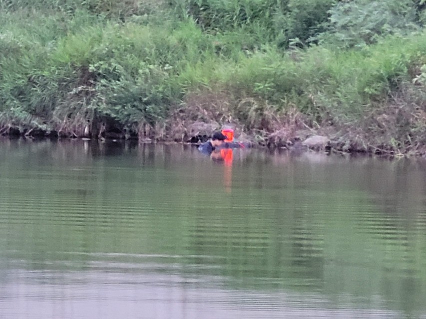 인제 구만동 계곡 다슬기 채집 모습 바위 사이에서 다슬기 잡기