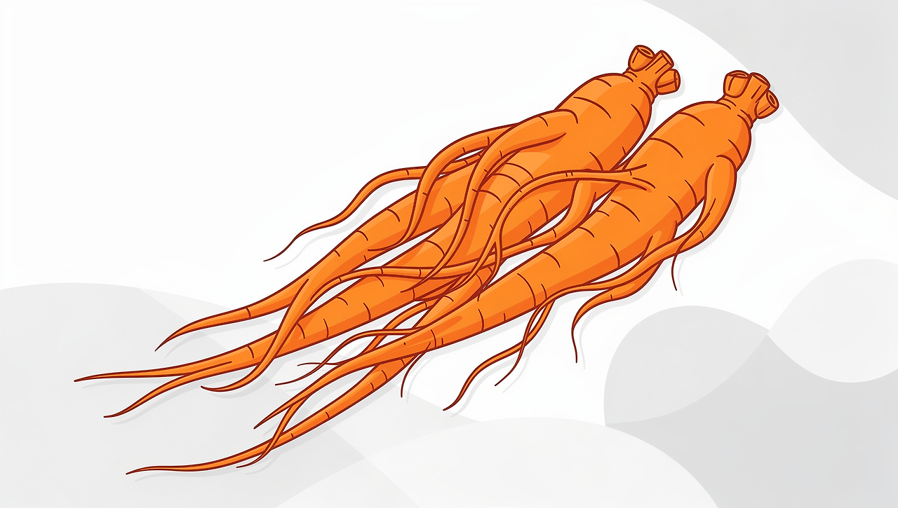 백진삼-효능-성분-부작용-먹는법-홍삼-흑삼-차이