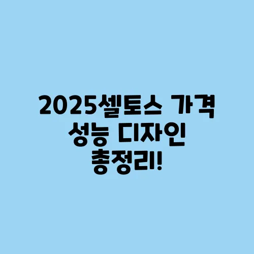 2025셀토스 가격 성능 디자인 총정리!