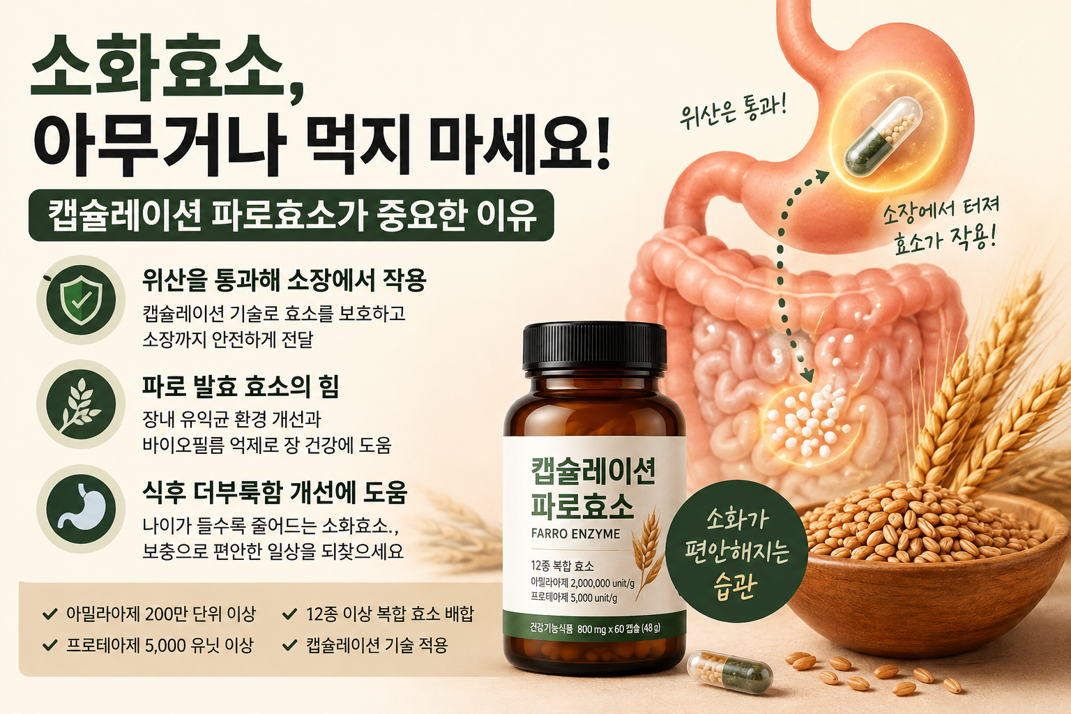 급체 이후 소화 습관과 소화효소를 알아본 경험