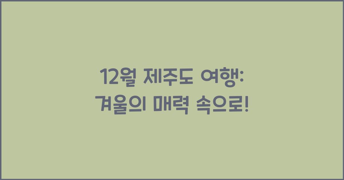 12월 제주도 여행