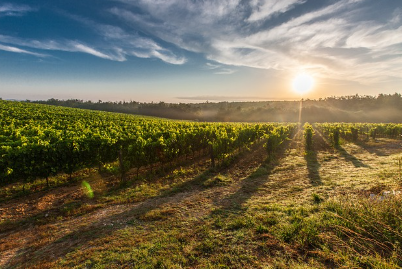 지목변경후임대수익