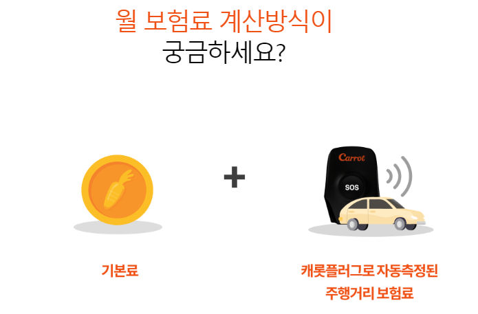 ์บ๋กฏ ์๋์ฐจ๋ณดํ