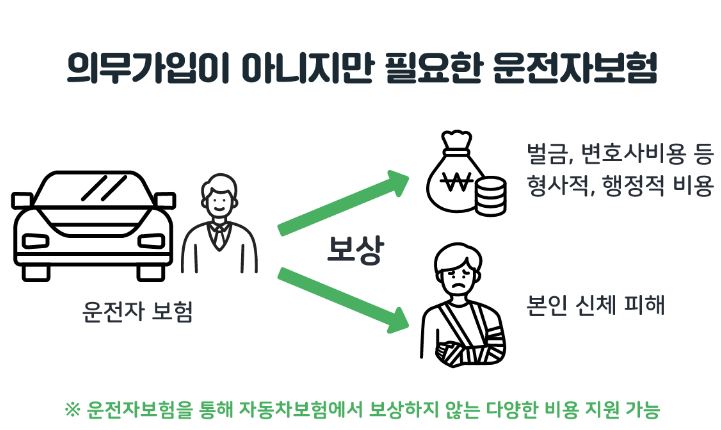 운전자-보험