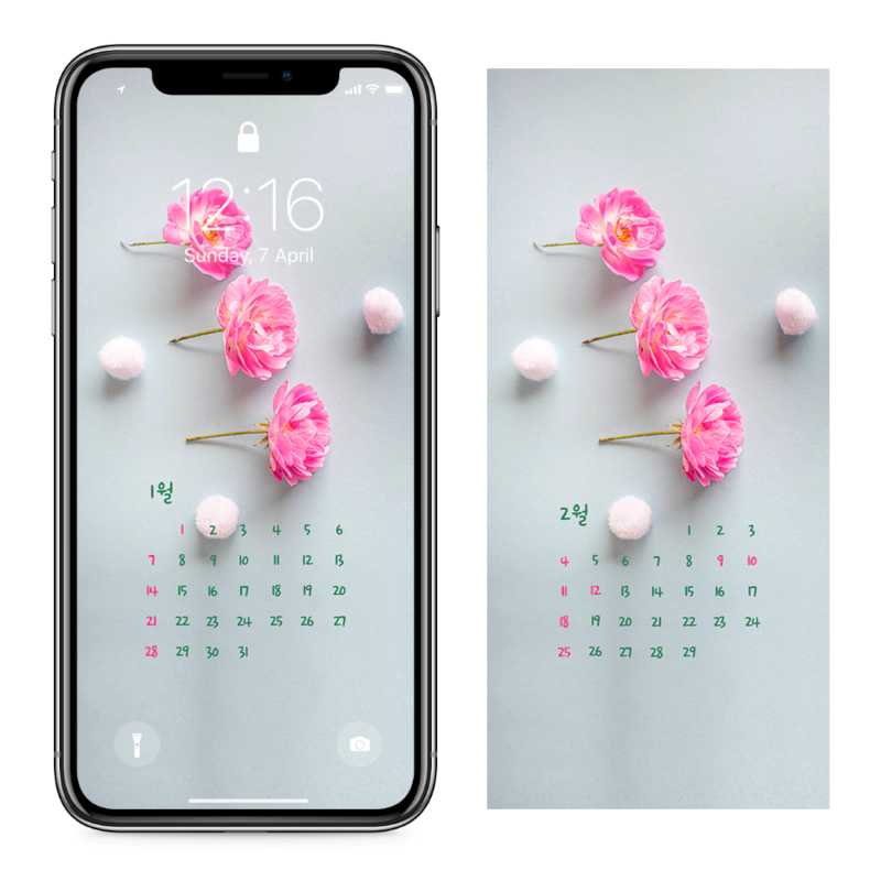 07 모란꽃 세송이 AB - 2024년1월 아이폰달력배경화면