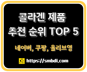 콜라겐 추천 순위 Top 5