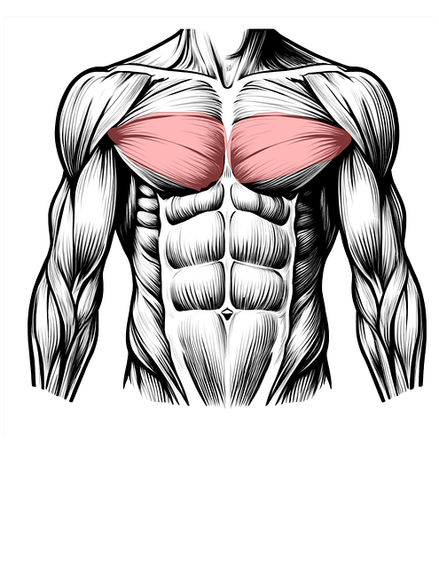 크레아틴 효능 총정리 &amp;#124; 운동 능력&middot;근육&middot;뇌 기능까지 다 잡는다