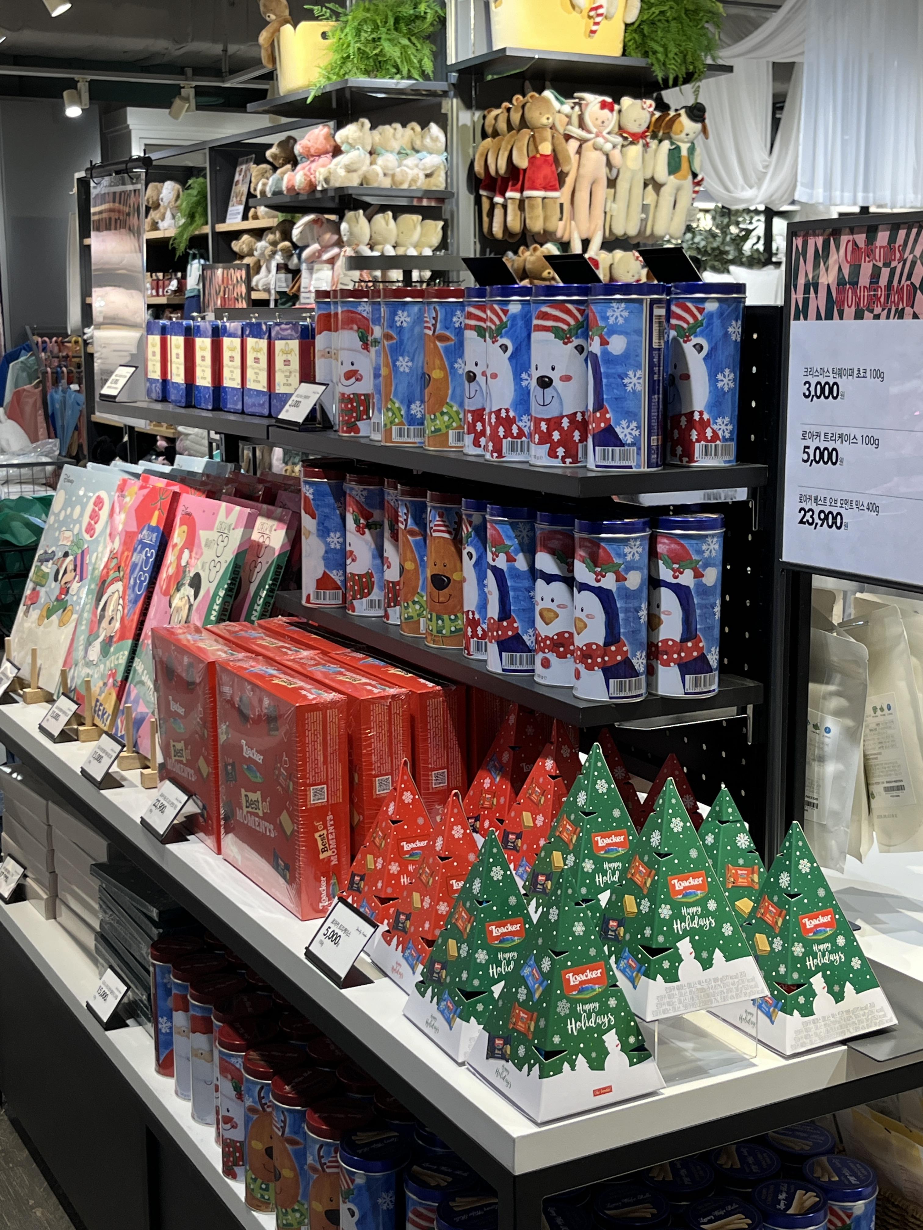 모던하우스 크리스마스