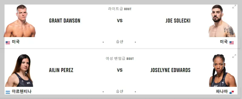 UFC 302 대진