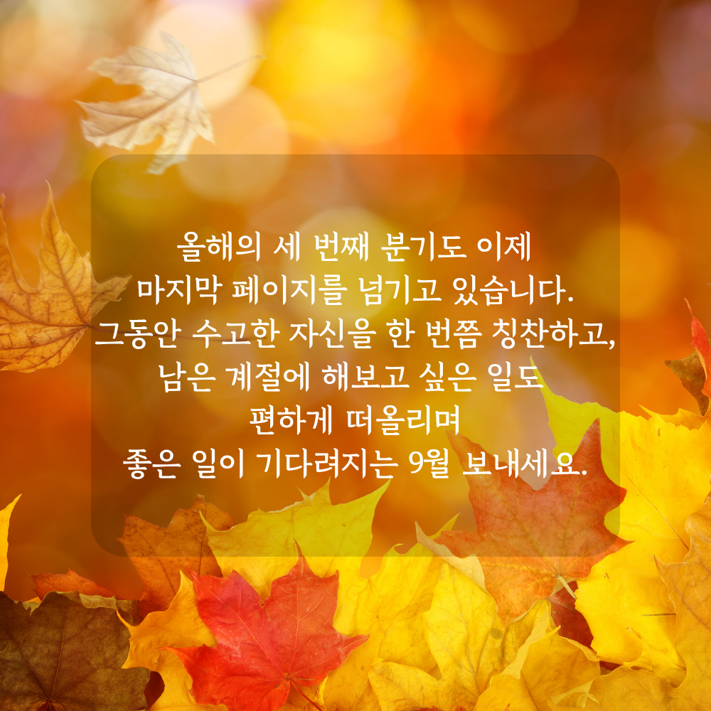 9월 3분기 마무리 인사말 - 남은 가을을 기대하는 마음