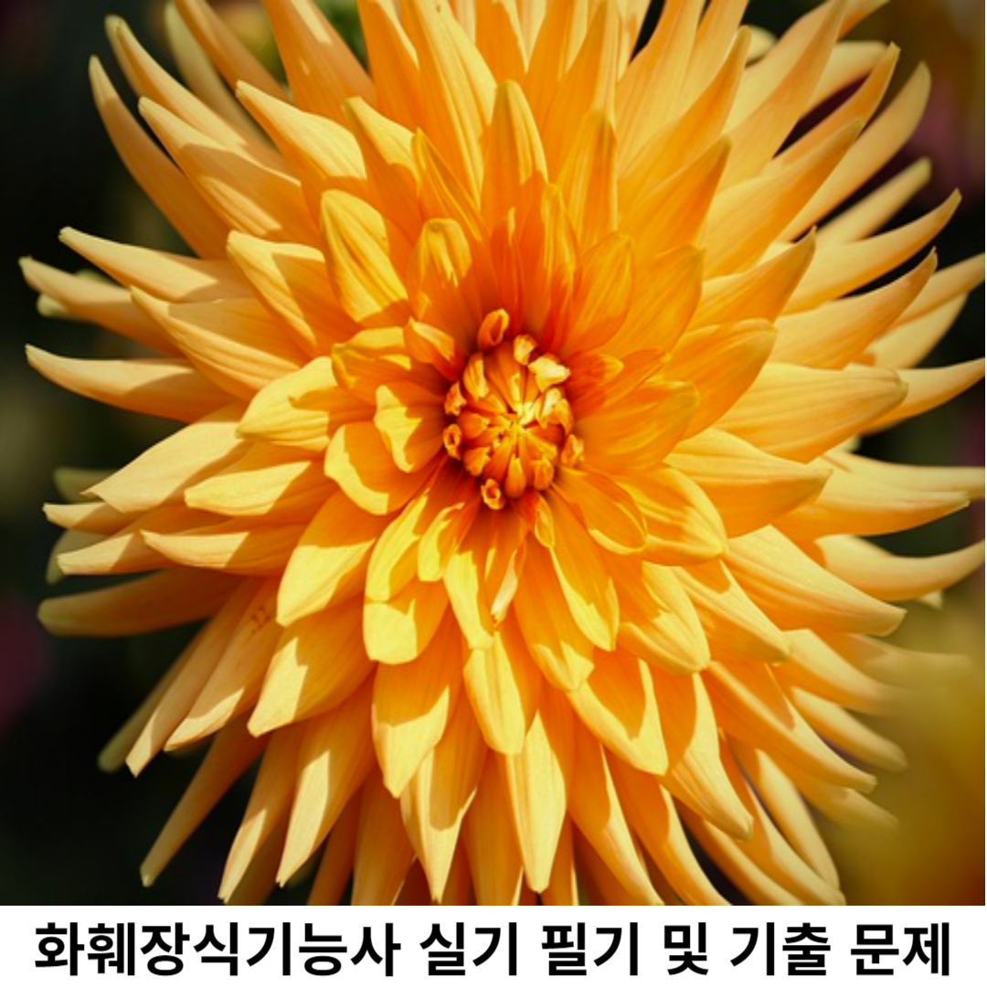 화훼장식기능사 실기 시험