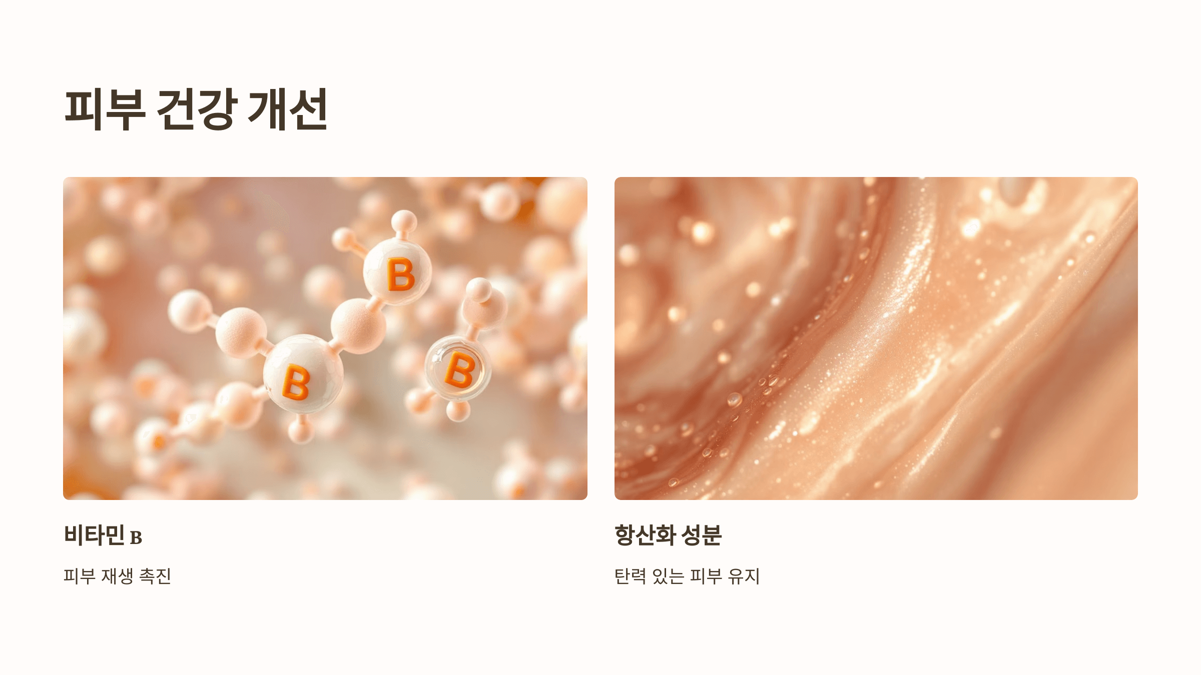 수수 사진입니다.