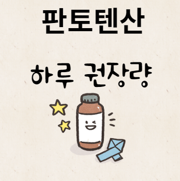 판토텐산 하루 권장량