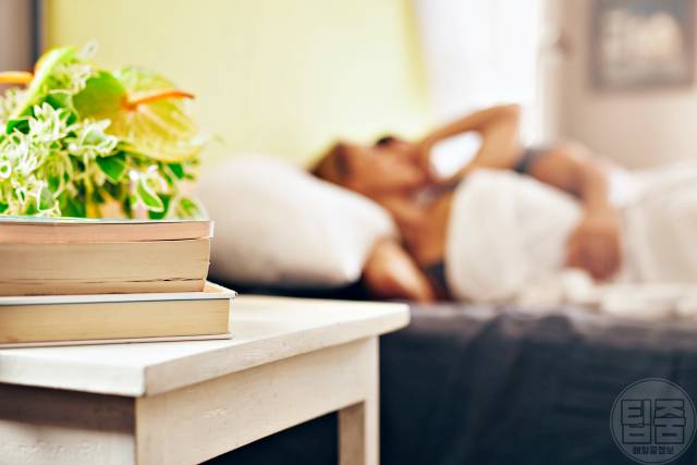 공기정화식물 키우기 효과 종류 추천 불면증