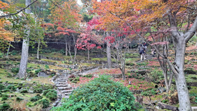 단풍명소_화담숲_이끼원